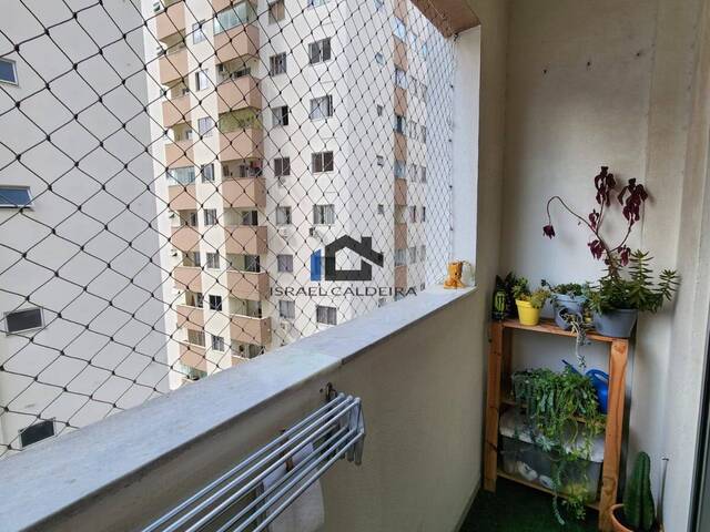 #25300 - Apartamento para Venda em São José - SC - 3