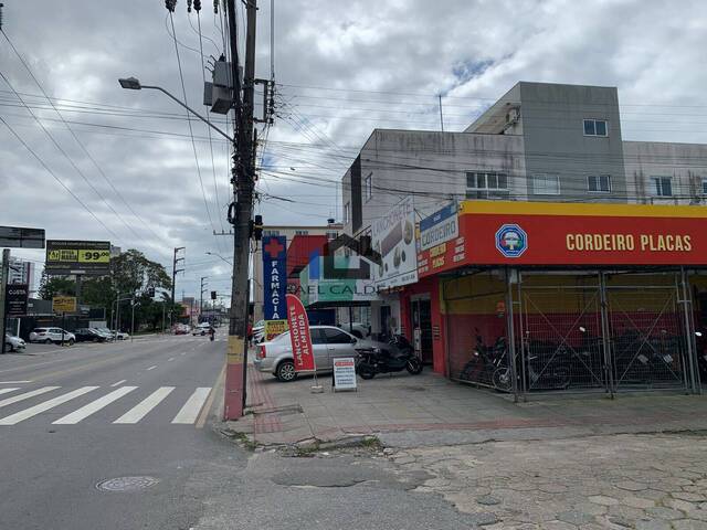 Área para Venda em São José - 5